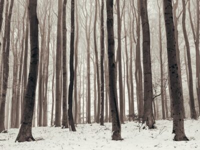 Nature Park Purkersdorf