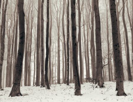 Nature Park Purkersdorf