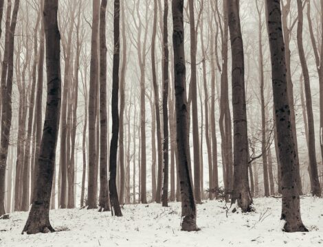 Nature Park Purkersdorf