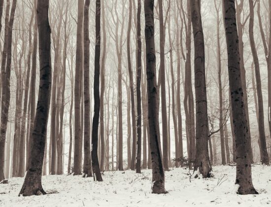 Nature Park Purkersdorf