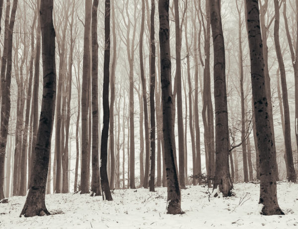 Nature Park Purkersdorf