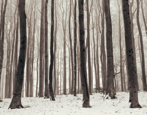 Nature Park Purkersdorf