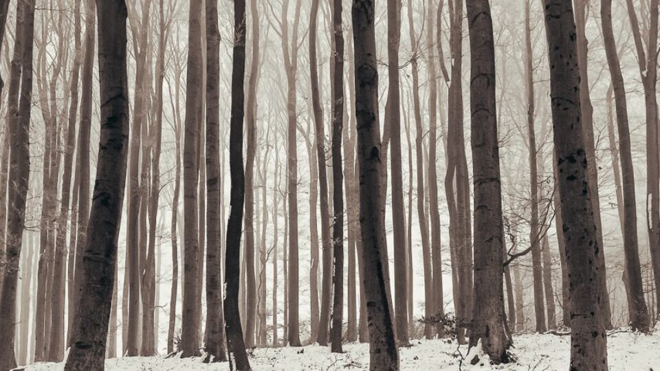 Nature Park Purkersdorf