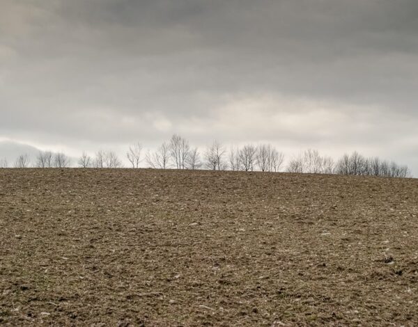 Stammersdorf – Stadtwanderweg 5