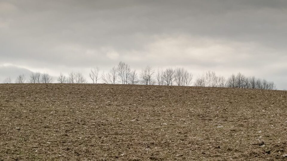 Stammersdorf – Stadtwanderweg 5