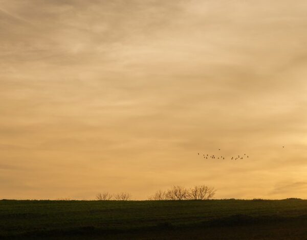 Schleinbach – Kreuttaler Lookout Point