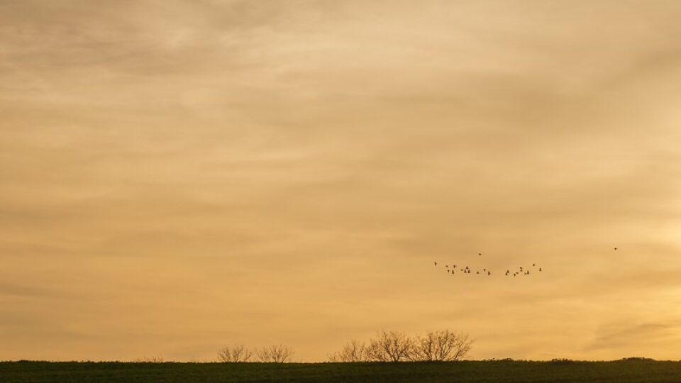 Schleinbach – Kreuttaler Lookout Point