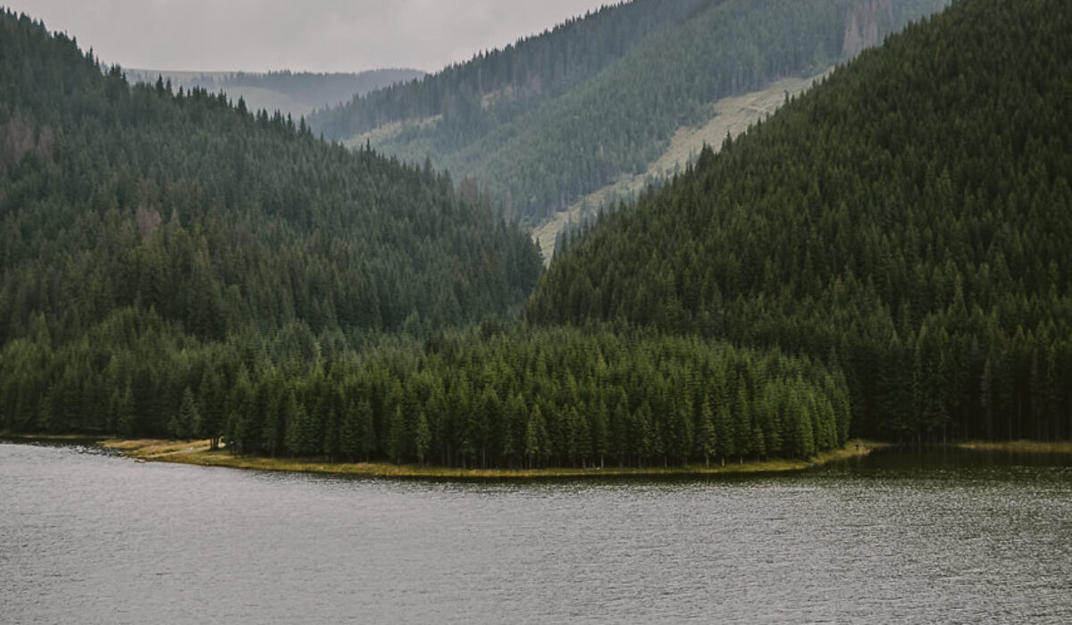 Vidra Lake