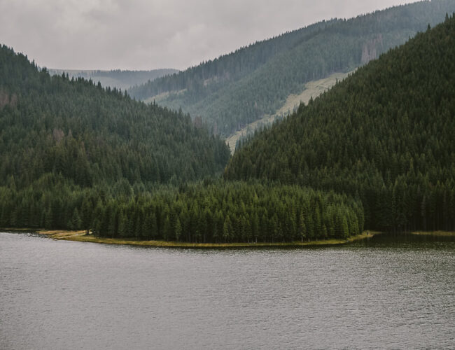 Vidra Lake