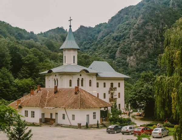Turnu Monastery