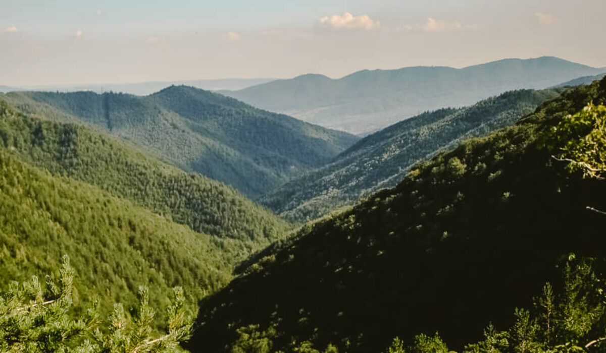 Cozia National Park & Stanisoara Monastery
