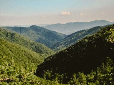 Cozia National Park & Stanisoara Monastery