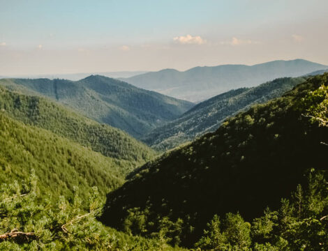Cozia National Park & Stanisoara Monastery