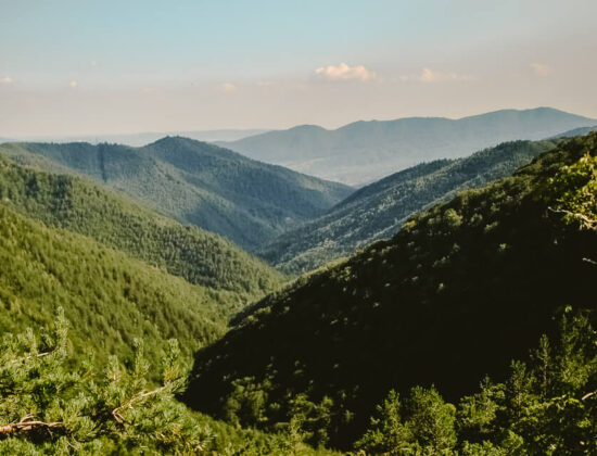 Cozia National Park & Stanisoara Monastery