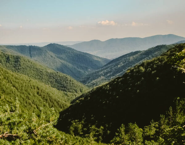 Cozia National Park & Stanisoara Monastery