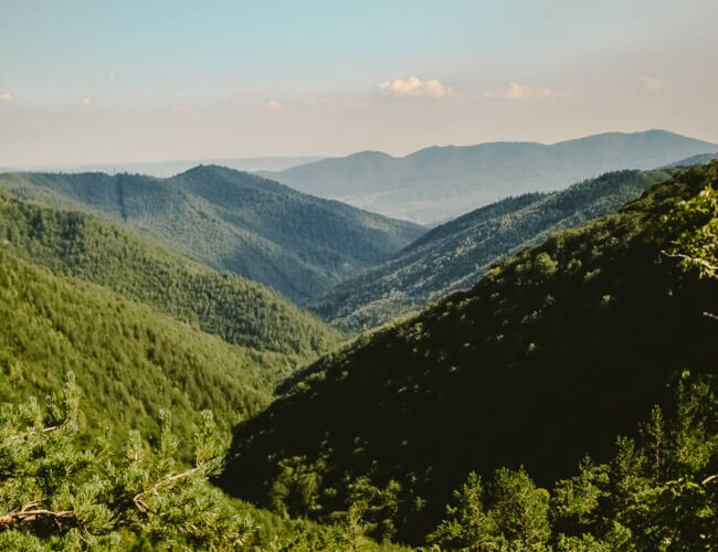 Cozia National Park & Stanisoara Monastery