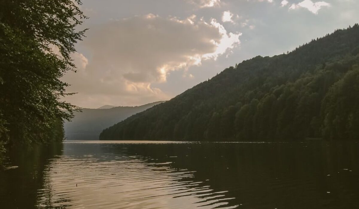 Vidraru Lake