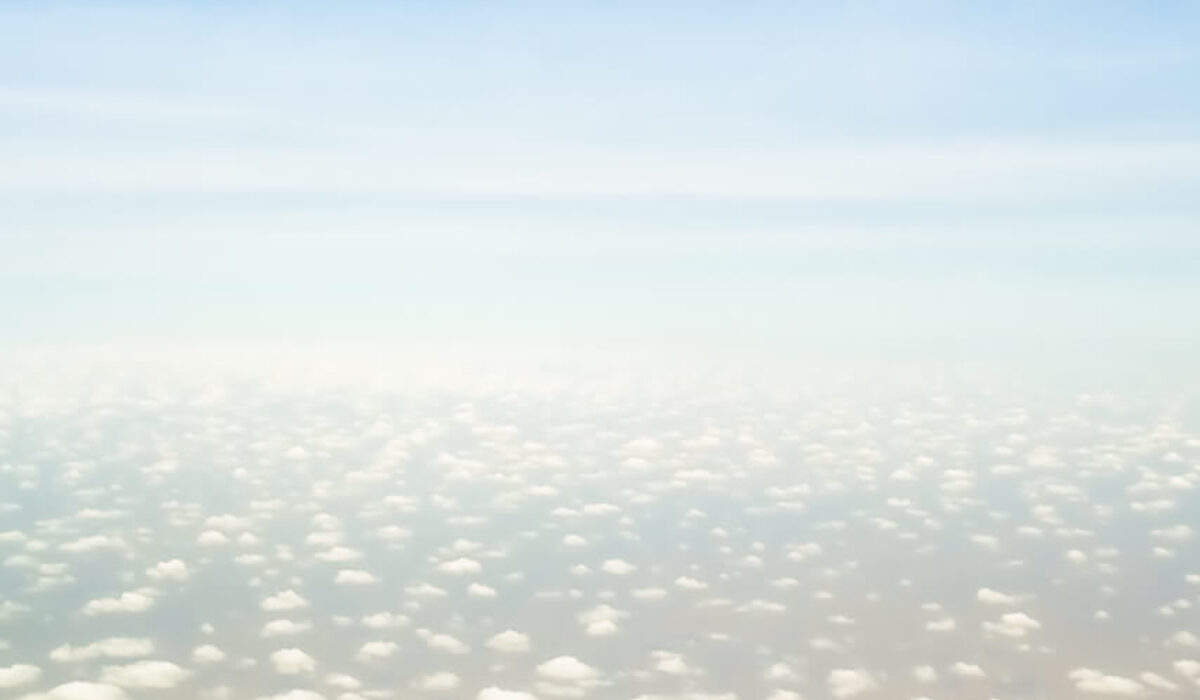 The Fly To The Seychelles