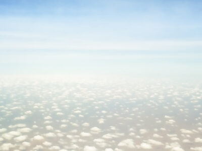 The Fly To The Seychelles