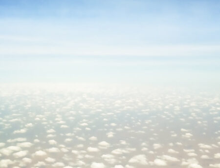 The Fly To The Seychelles