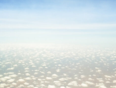 The Fly To The Seychelles