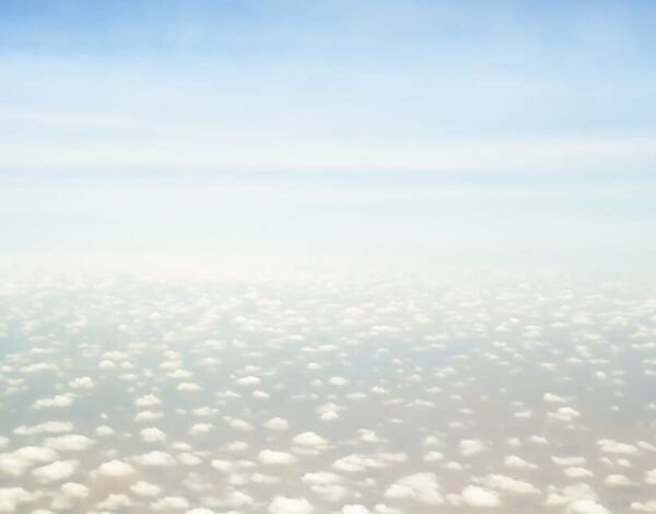 The Fly To The Seychelles