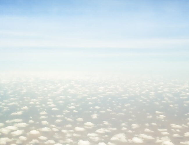 The Fly To The Seychelles