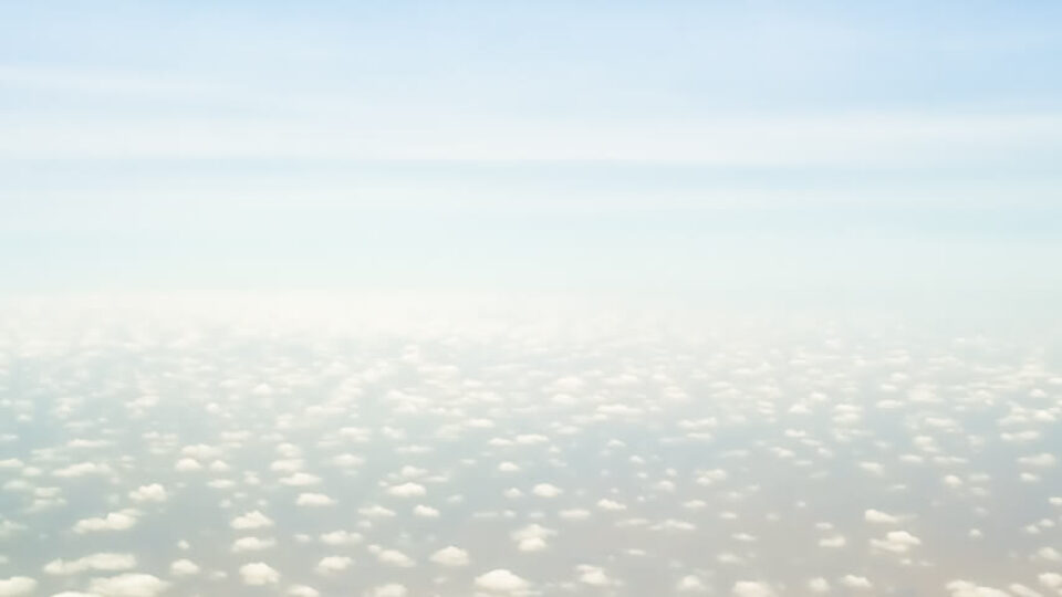 The Fly To The Seychelles