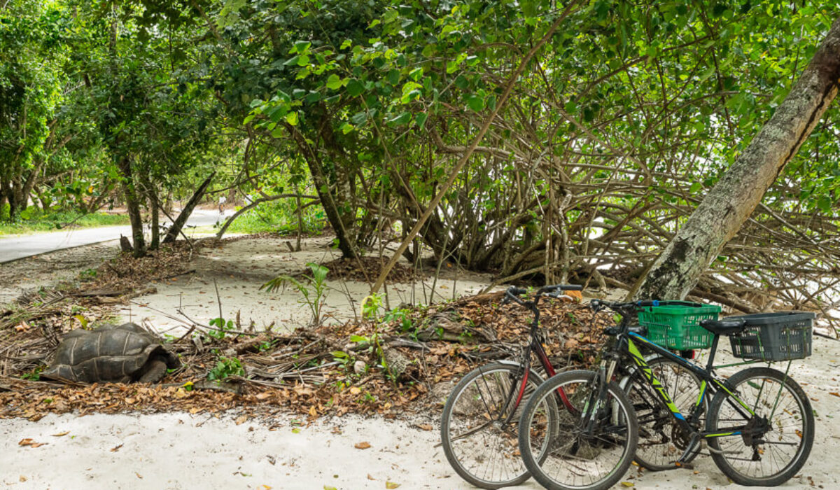 La Digue – From Anse Severe to Anse Fourmis Hike