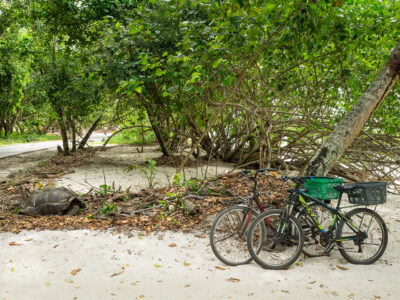 La Digue – From Anse Severe to Anse Fourmis Hike