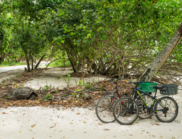 La Digue – From Anse Severe to Anse Fourmis Hike