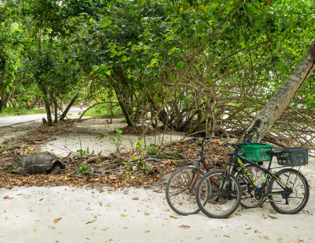 La Digue – From Anse Severe to Anse Fourmis Hike