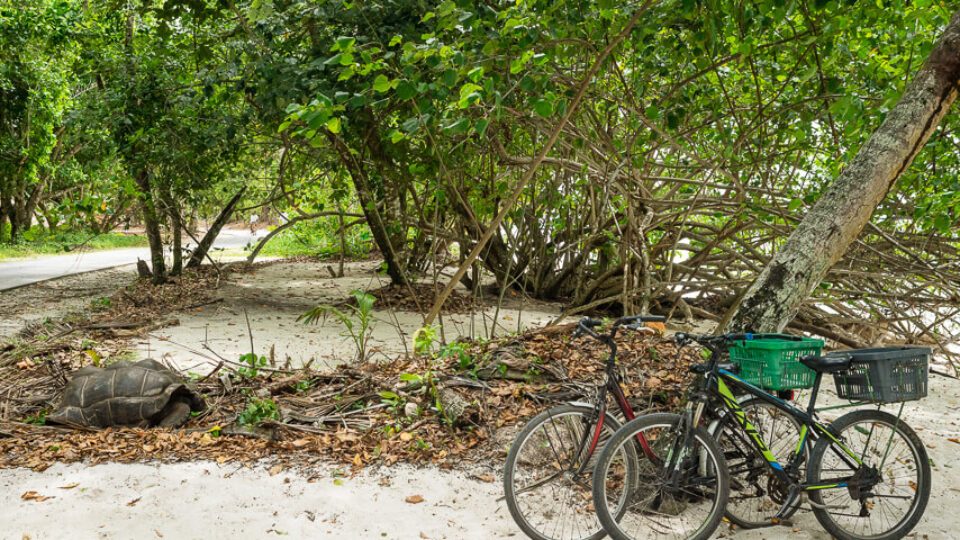 La Digue – From Anse Severe to Anse Fourmis Hike