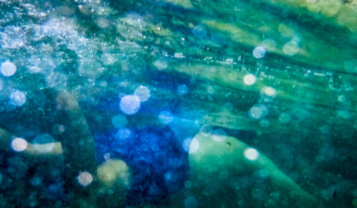 La Digue – Snorkeling at Anse Severe