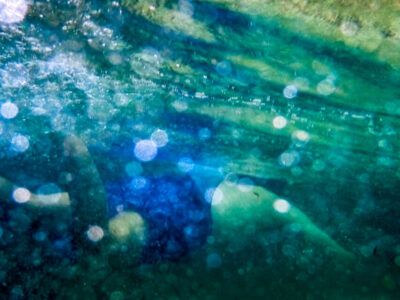 La Digue – Snorkeling at Anse Severe