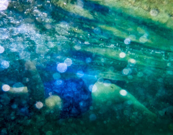 La Digue – Snorkeling at Anse Severe