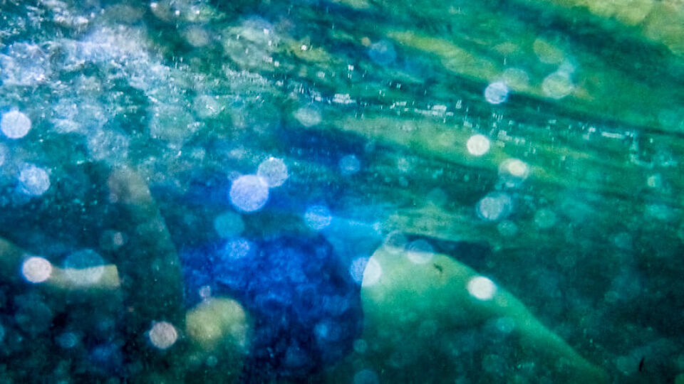 La Digue – Snorkeling at Anse Severe