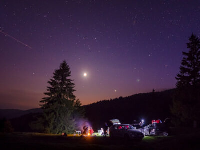 Enjoying the Night