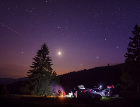 Enjoying the Night