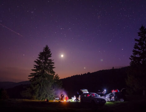 Enjoying the Night