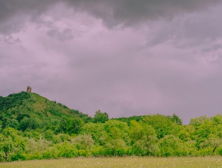 On the Way Back to Arad