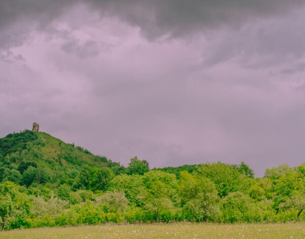 On the Way Back to Arad