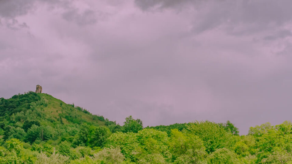 On the Way Back to Arad