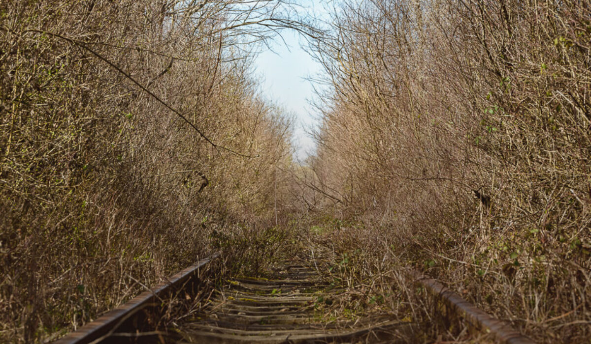 The Tunnel of Love in Obreja
