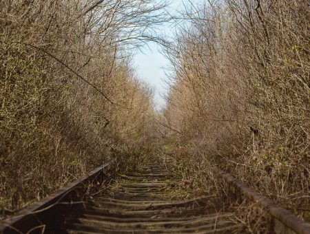 The Tunnel of Love in Obreja