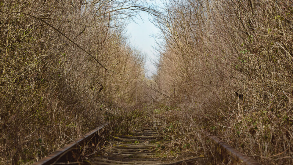 The Tunnel of Love in Obreja