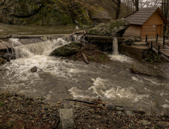Water Mills at Rudăria