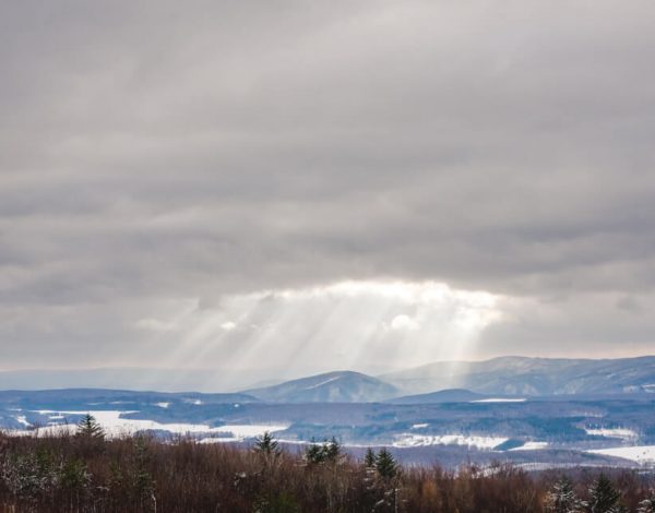 Nature Park Föhrenberge: Kaltenleutgeben – Höllensteinhaus – Gießhübel