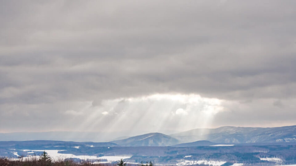 Nature Park Föhrenberge: Kaltenleutgeben – Höllensteinhaus – Gießhübel