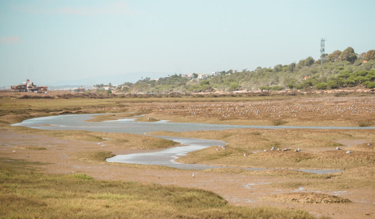 Quinta do Lago & Parque Natural da Ria Formosa